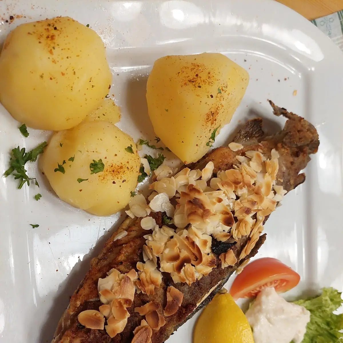 Forelle Müllerinenart
