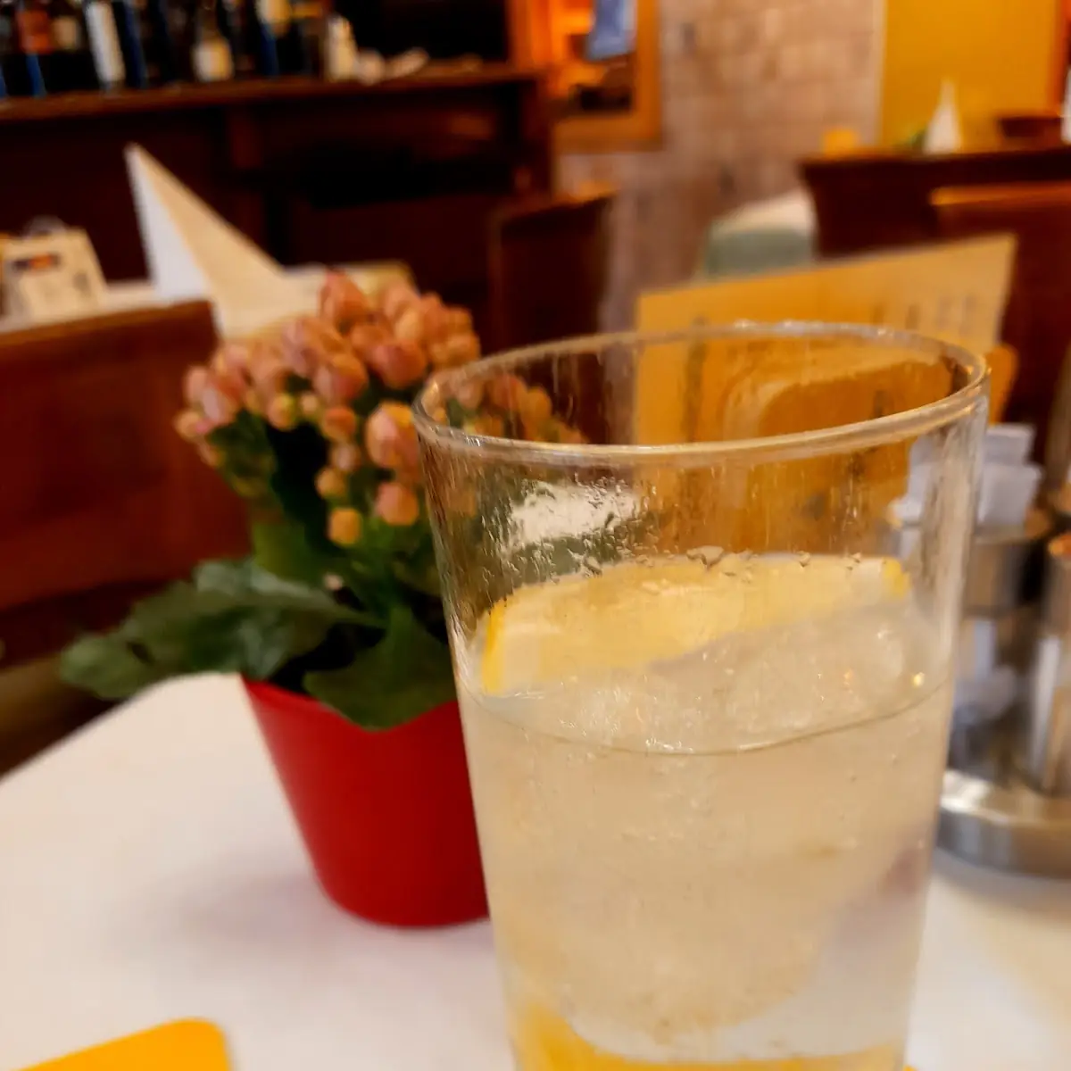 Schweppes Tonic Mit Eis & Zitrone, Restaurant Stöger
