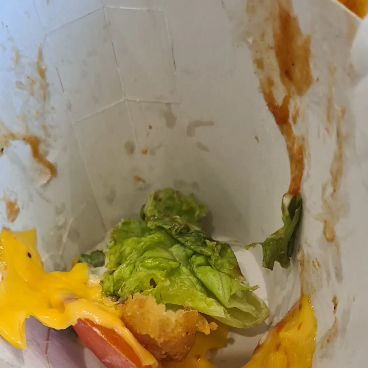 Tomato Salsa Chicken Wrap
