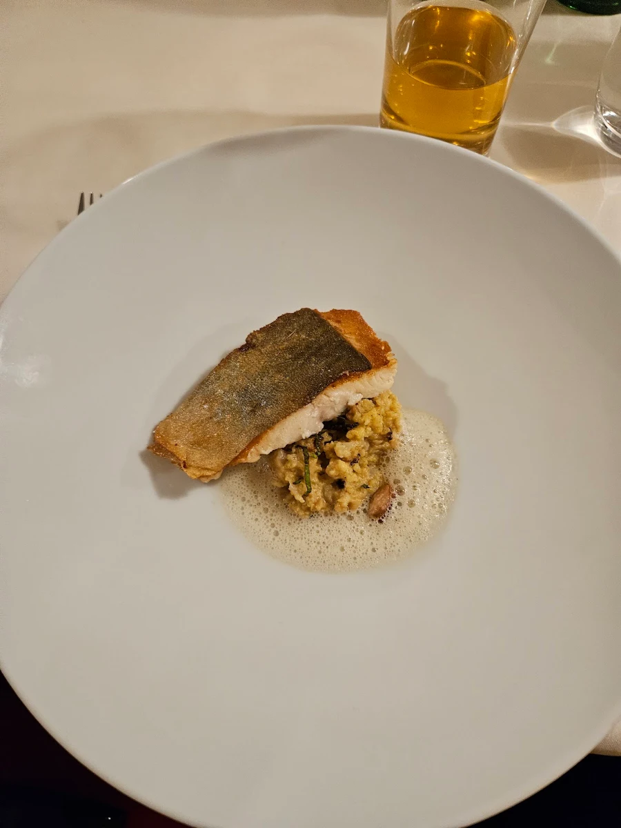 Saibling Mit Risotto