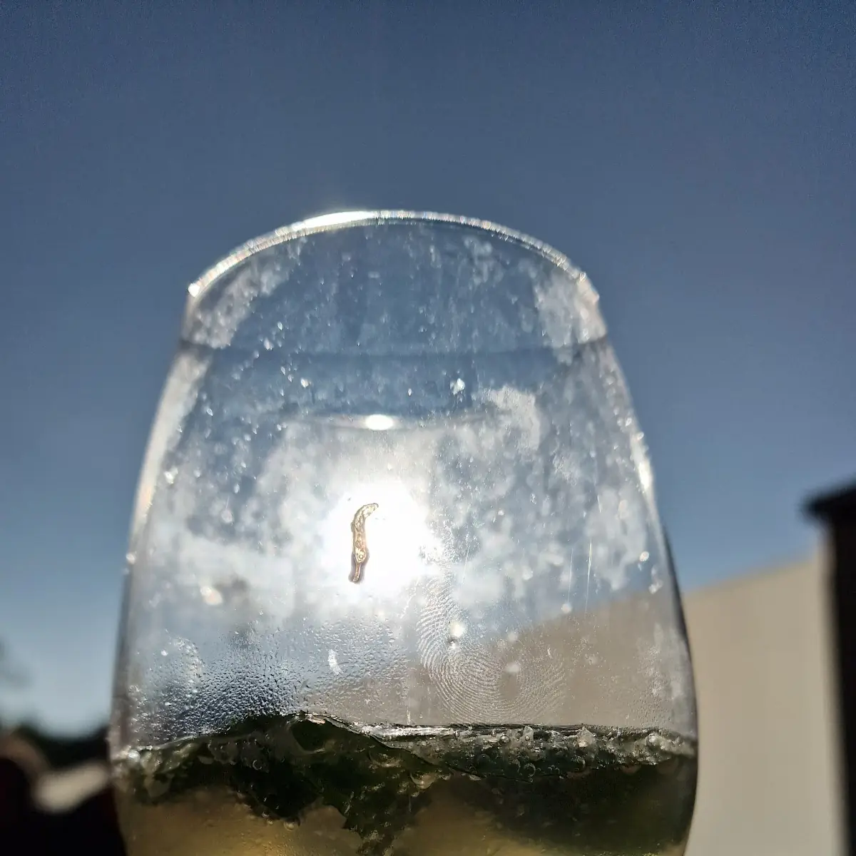 Wein