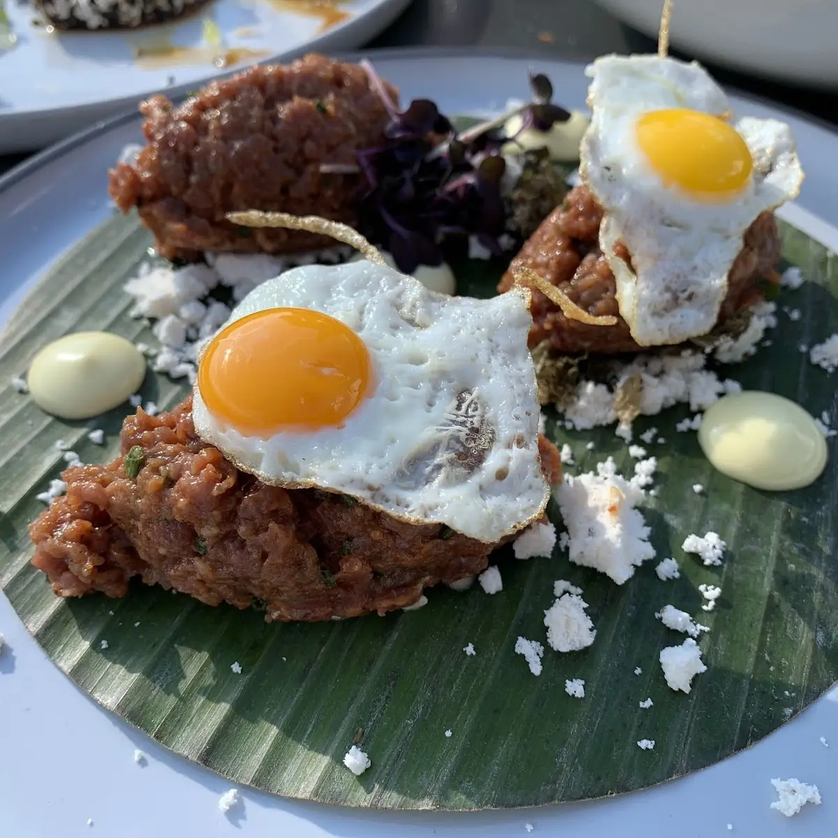 Tartar Groß