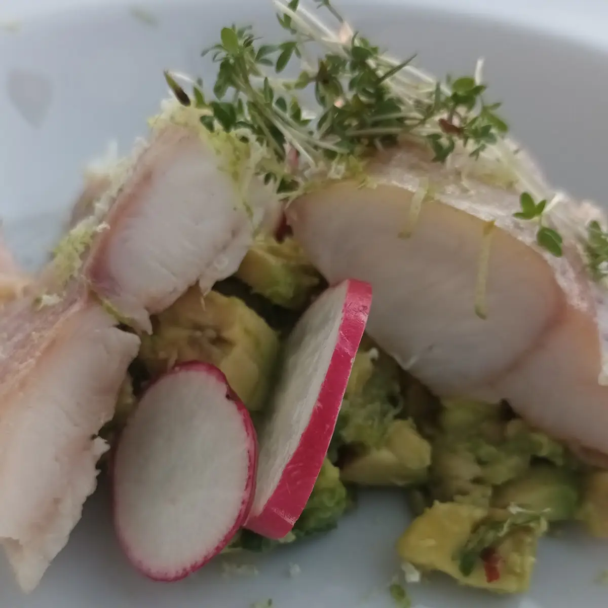Wels Geraucht Mit Avocado Koriander Und Chili