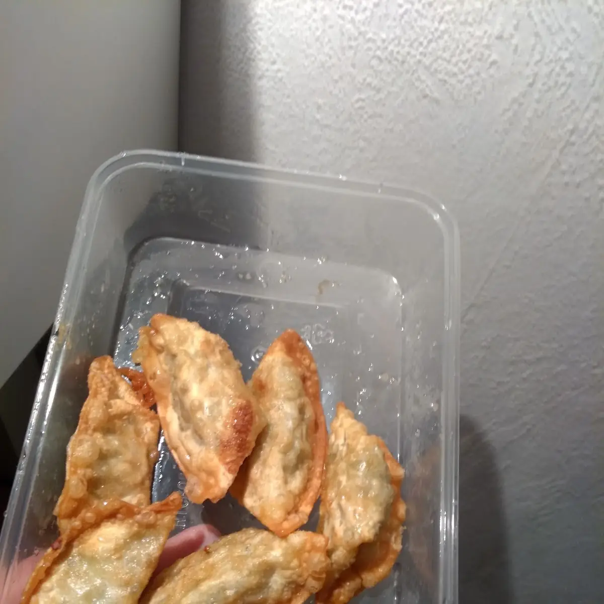 Gyoza Gebr