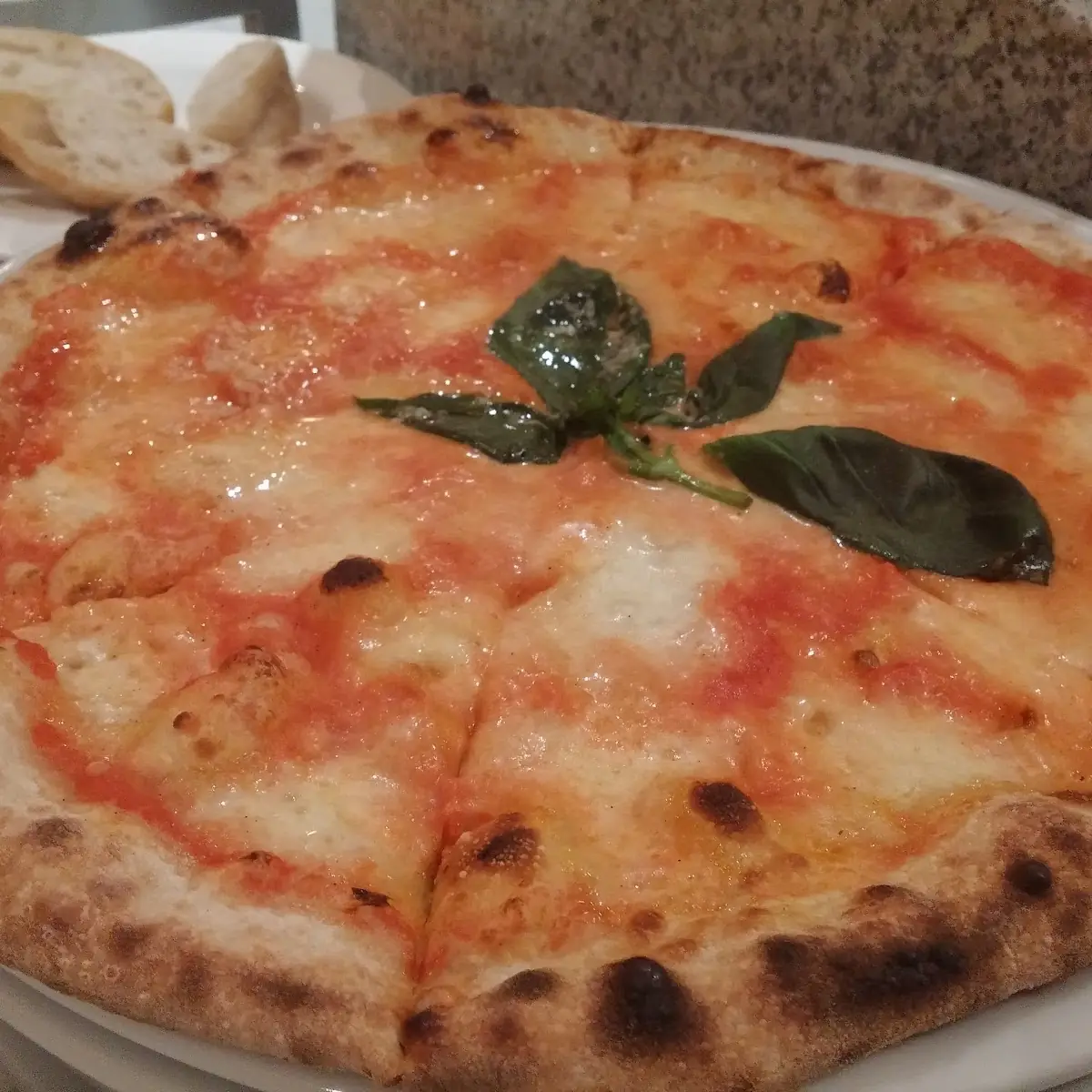 Pizza Margherita