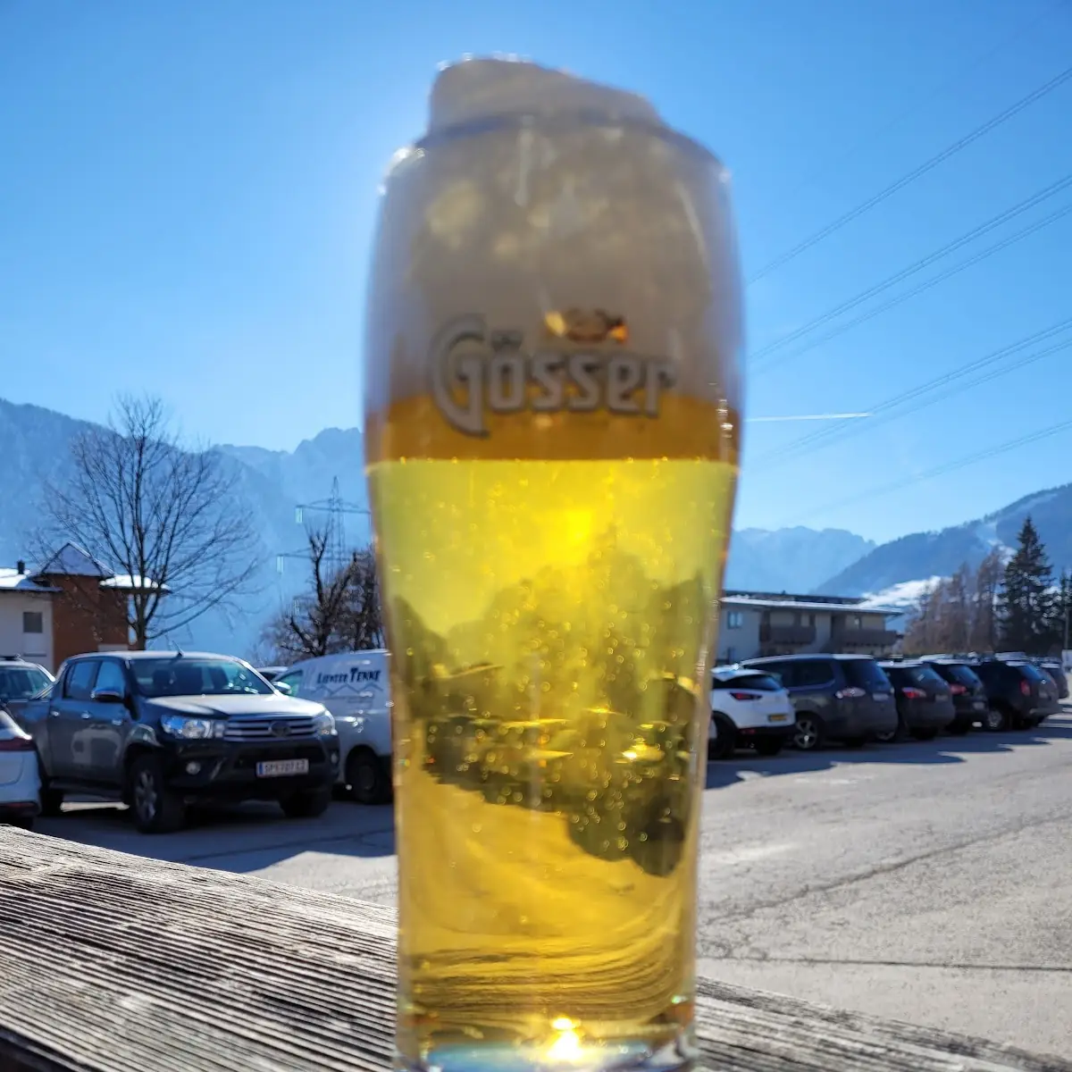 Bier