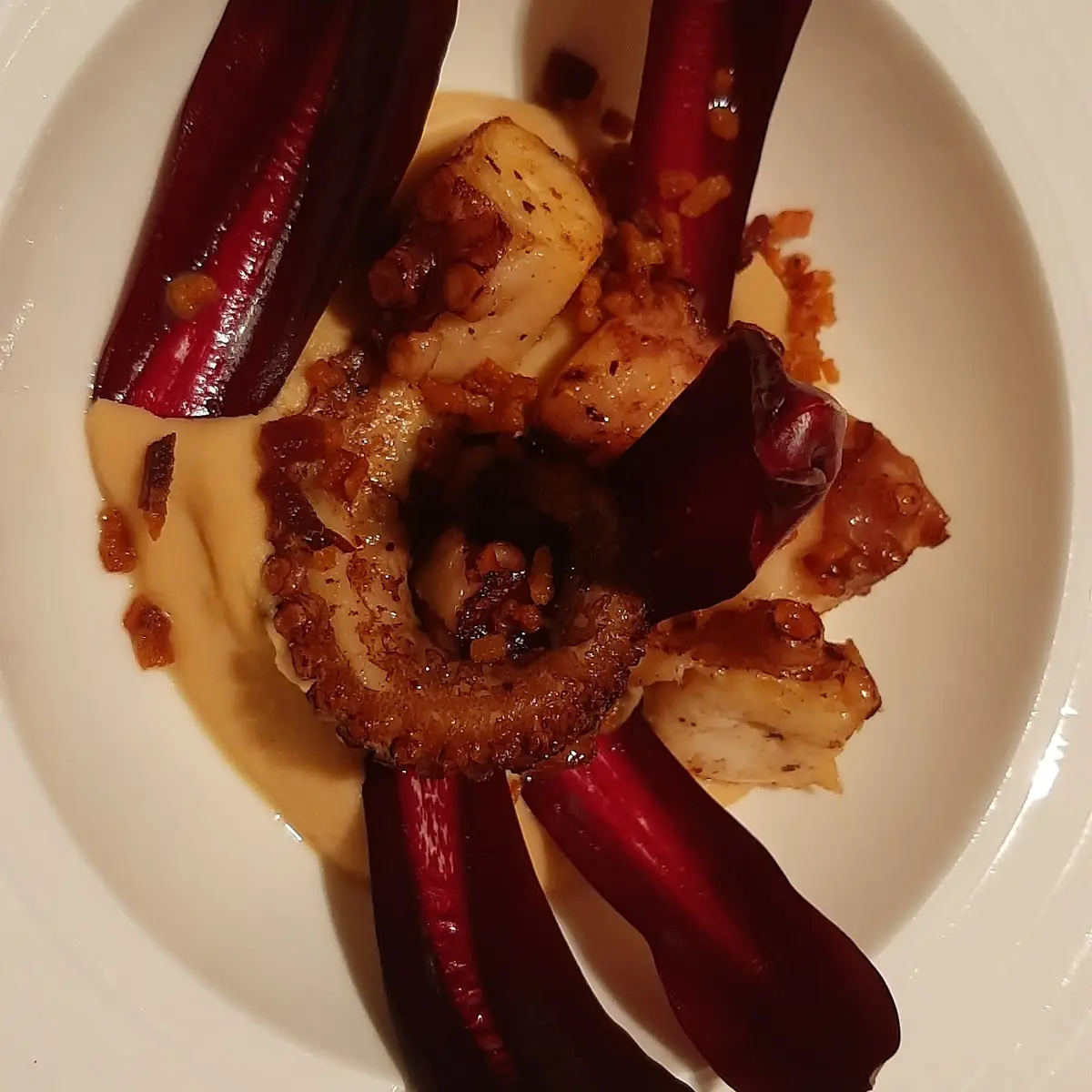 Grilled Octopus