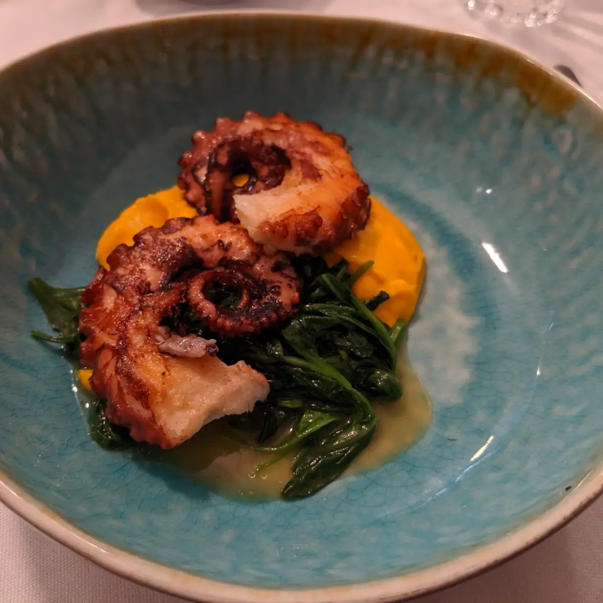 Octopus Gebraten