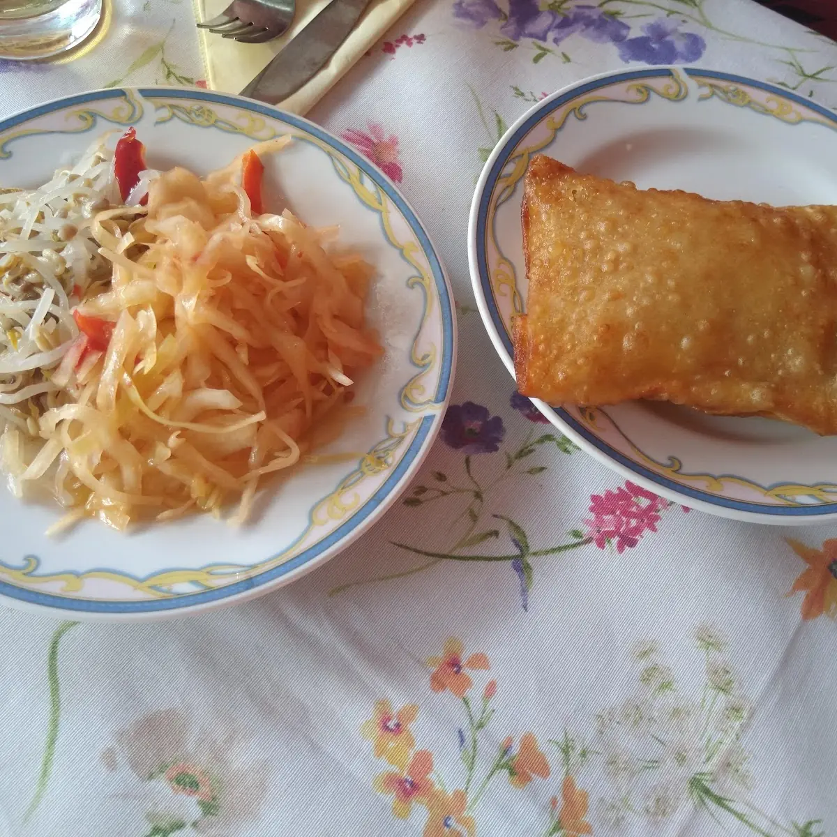 Frühlingsrolle Und Salat