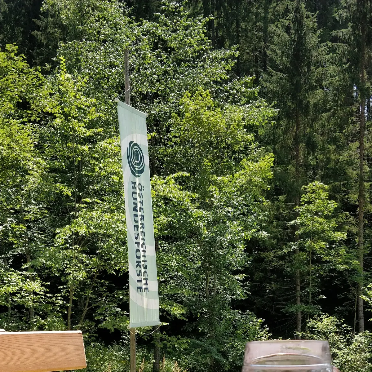 Apfelkuchen