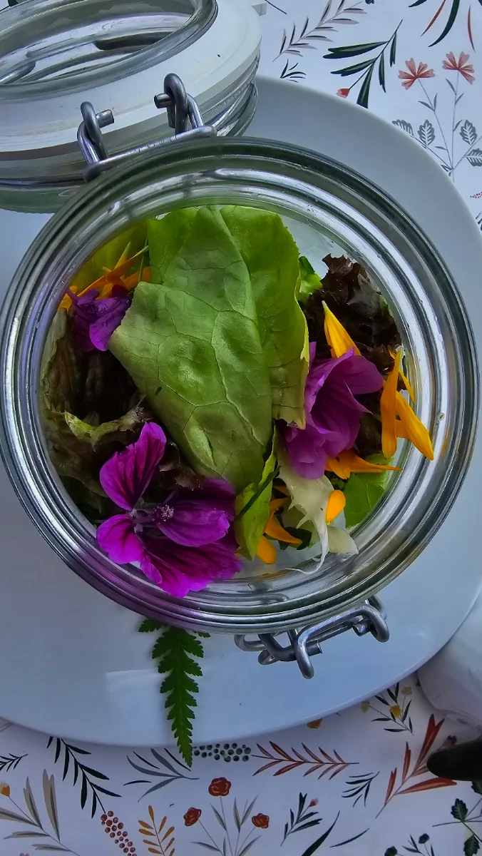 Gemischter Salat