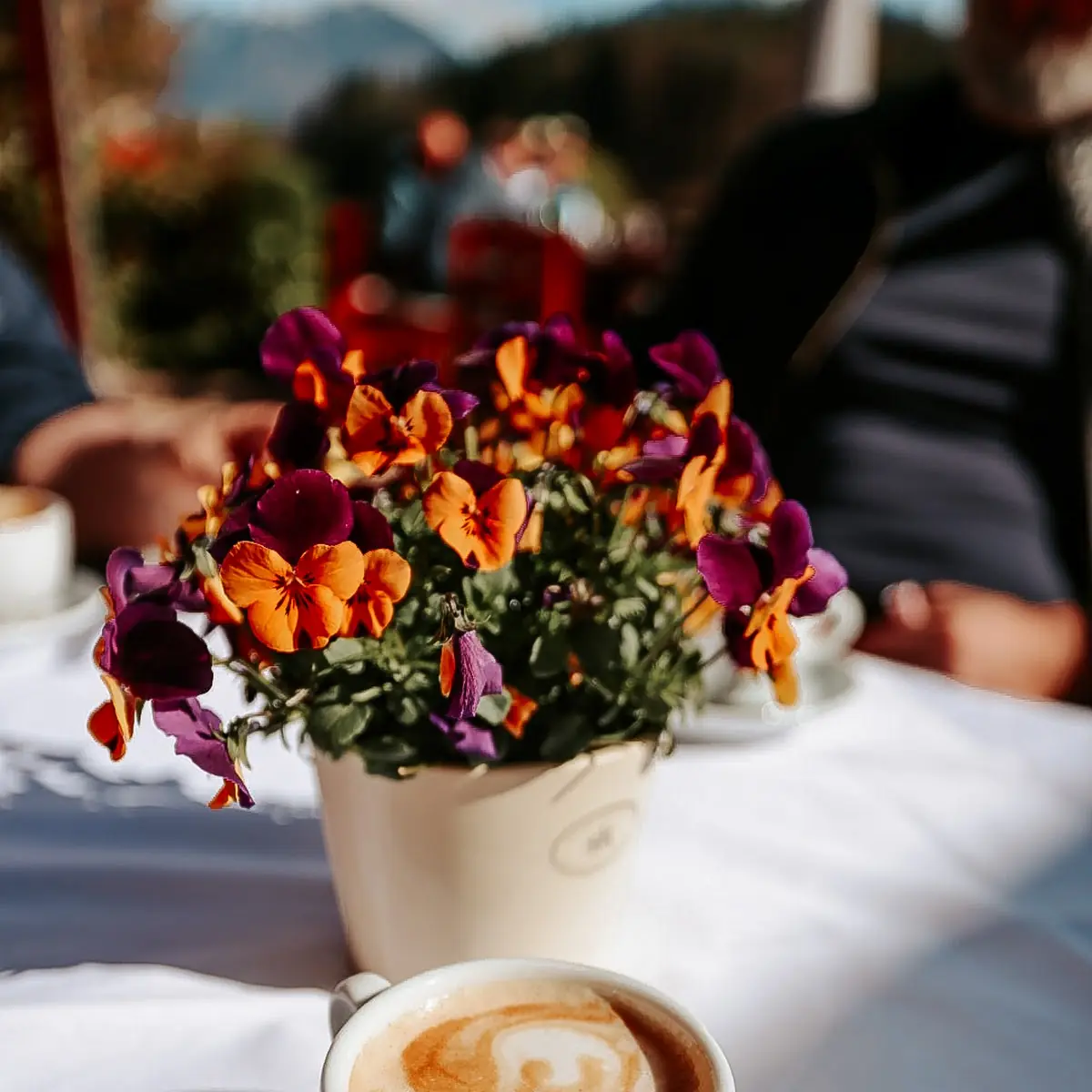 Cappuccino