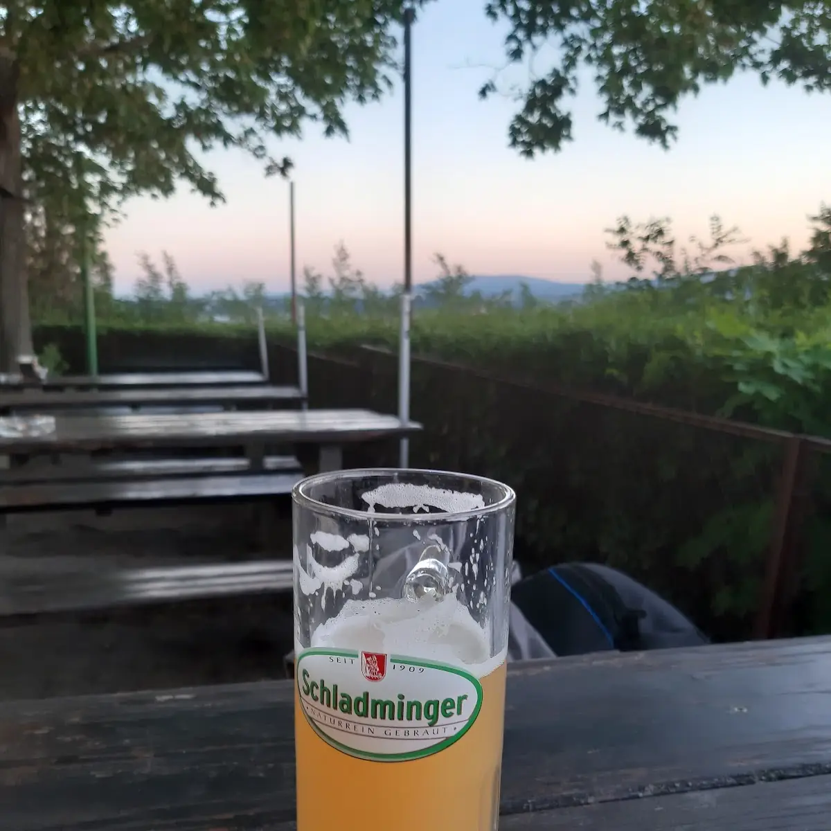 Bier
