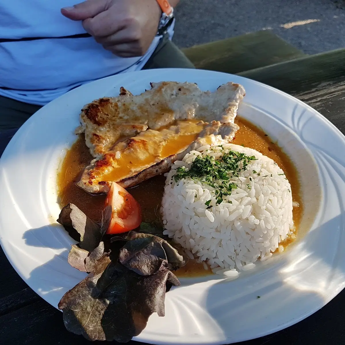 Naturschnitzel Mit Reis