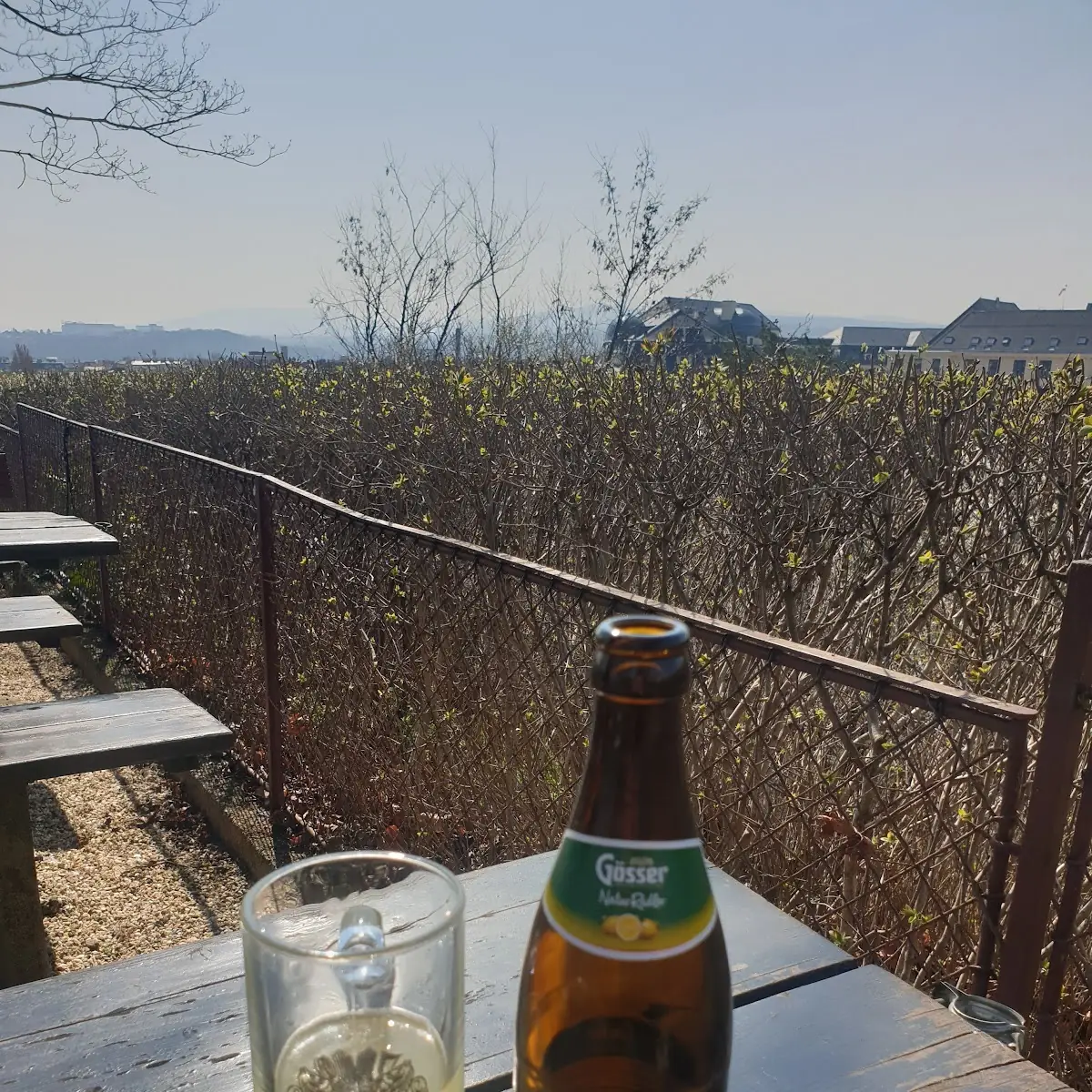 Radler