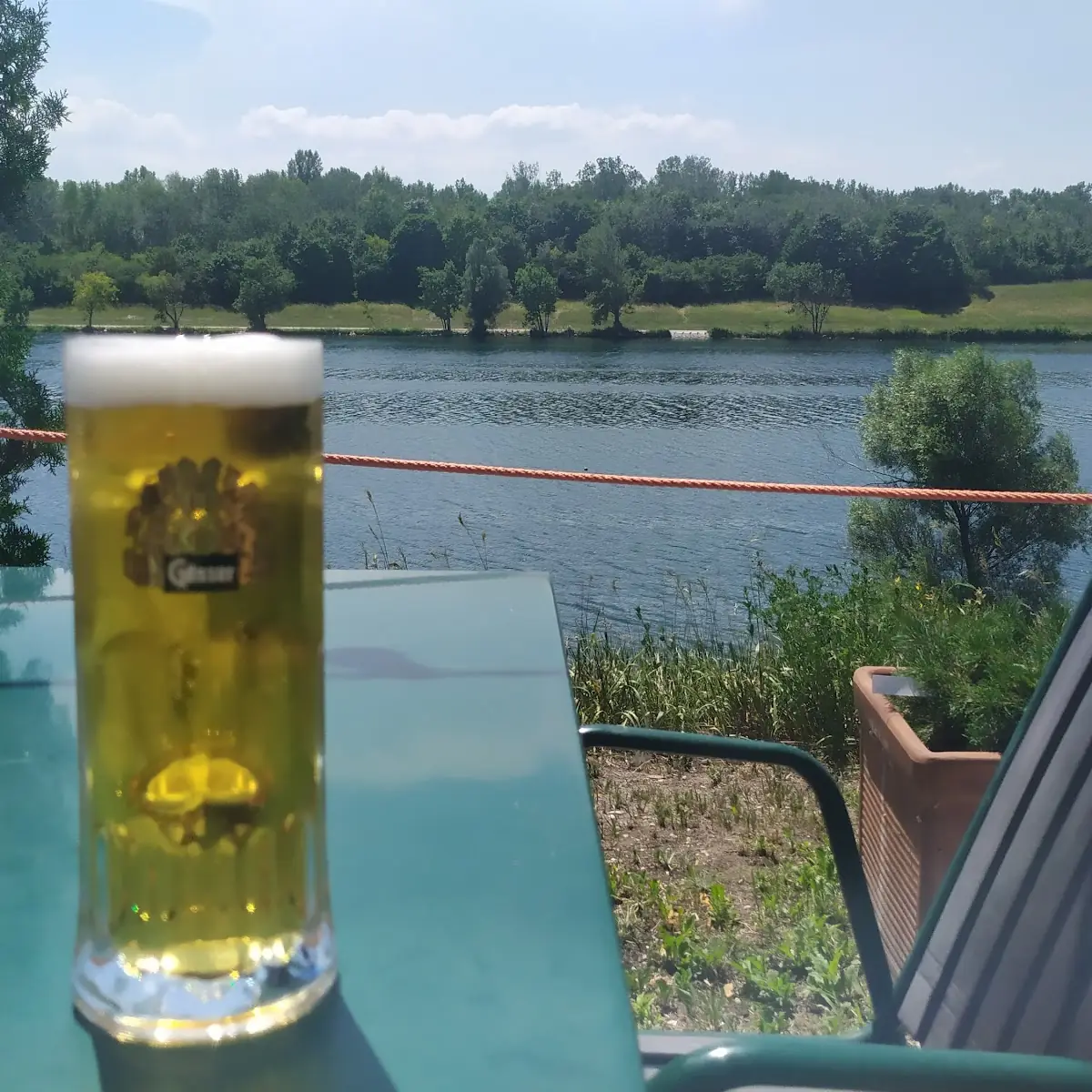 Bier