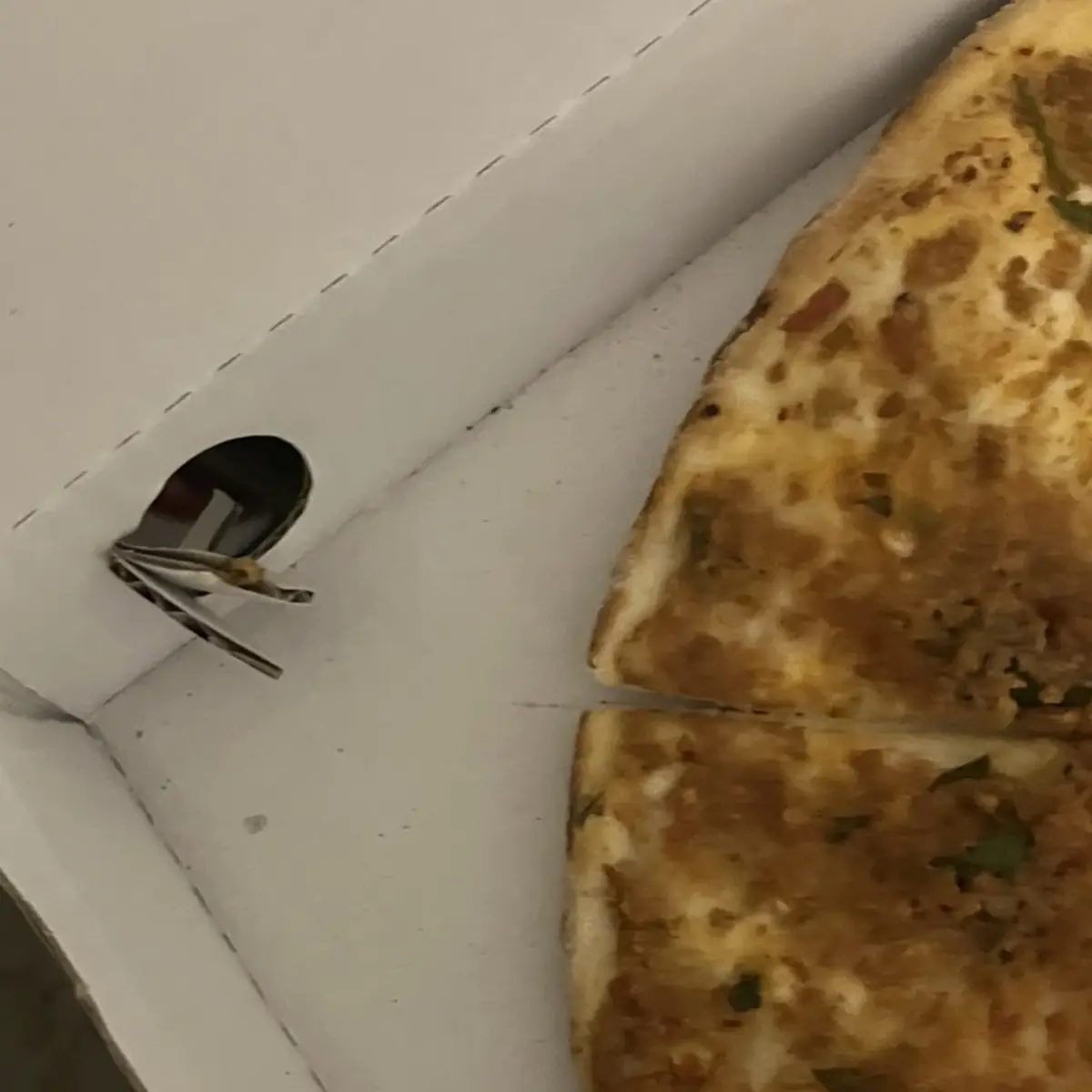 Lahmacun Mit Salat