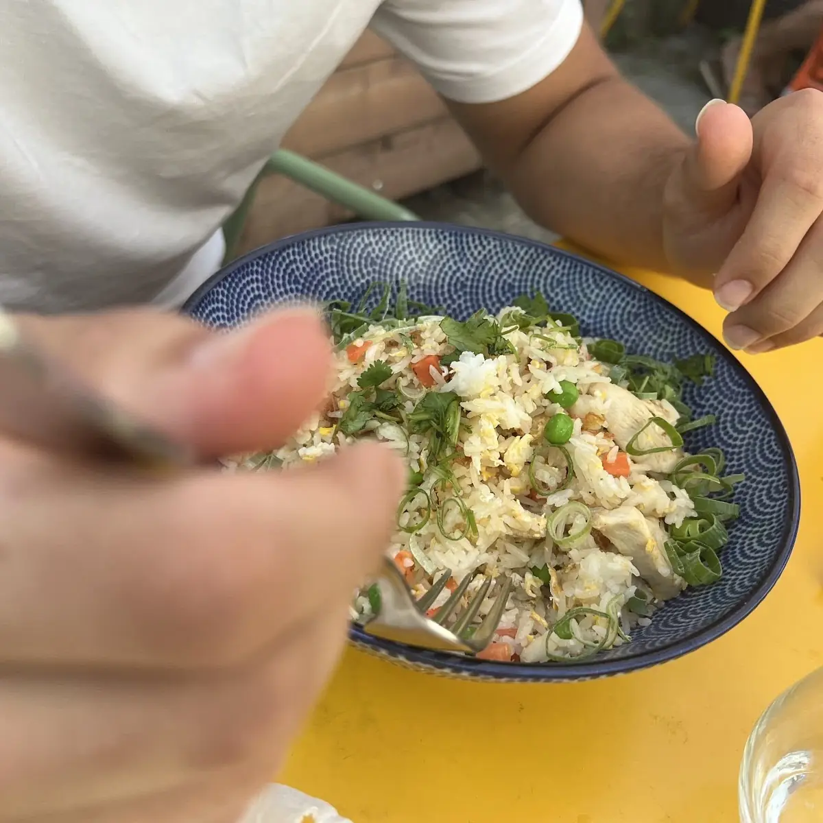 Reis Mit Huhn