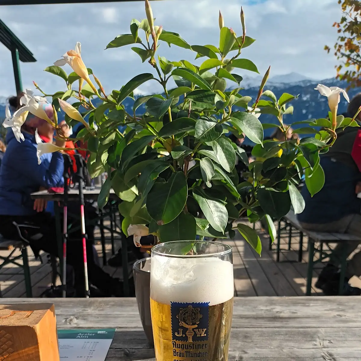Bier D