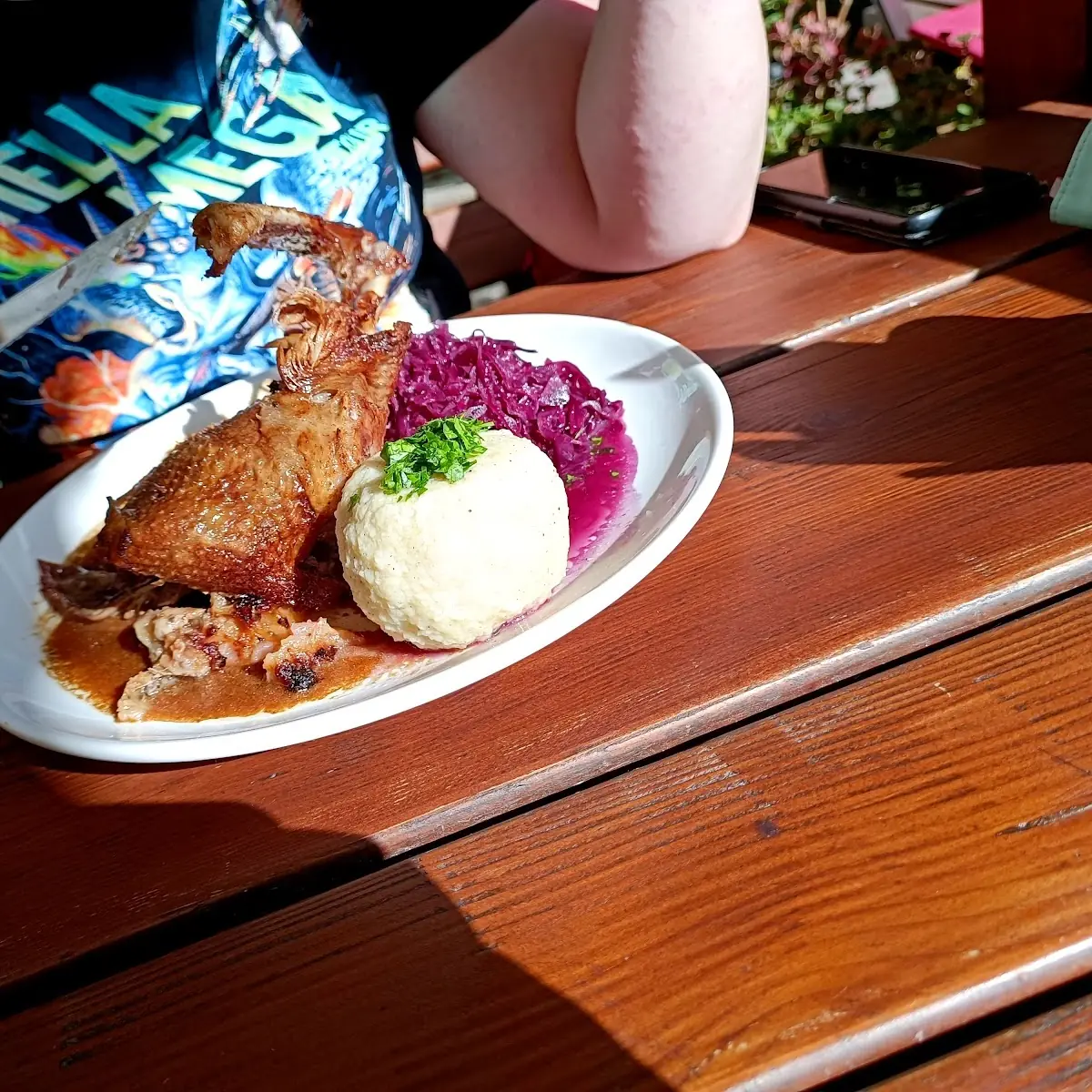Gans Mit Rotkraut Und Knödel