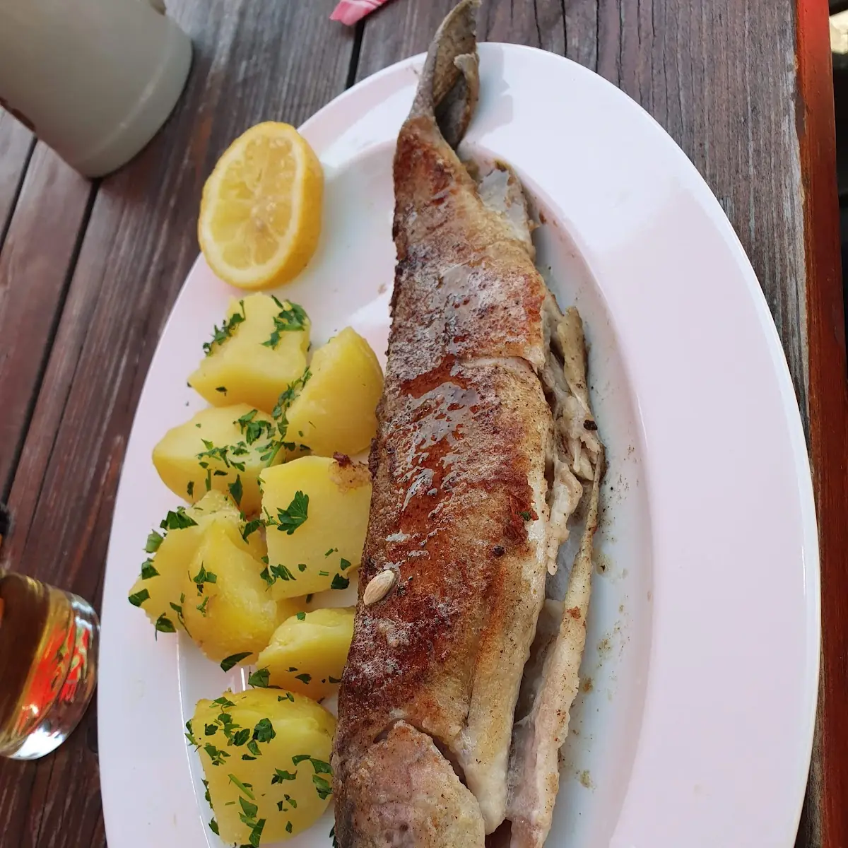 Gebratene Forelle Müllerin