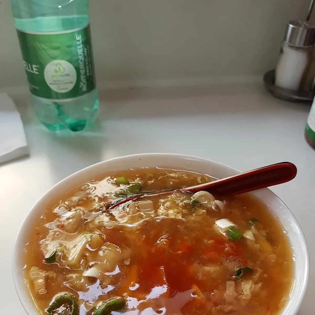 Pikant-säuerliche Suppe Veg
