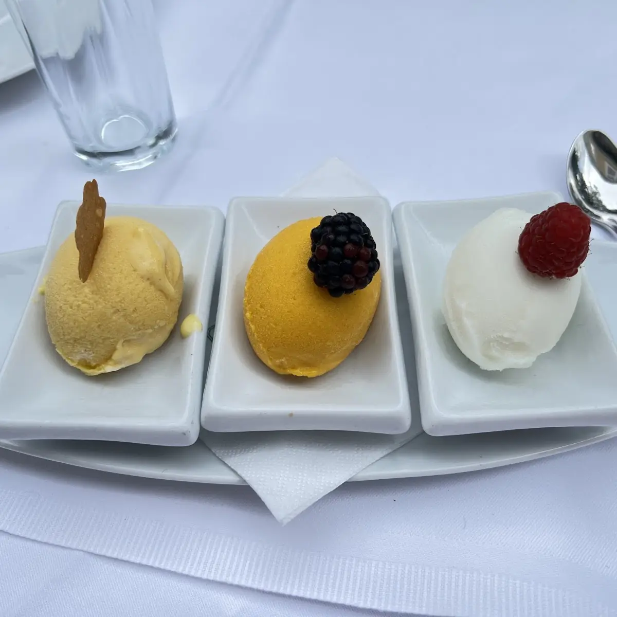 Dreierlei Sorbets