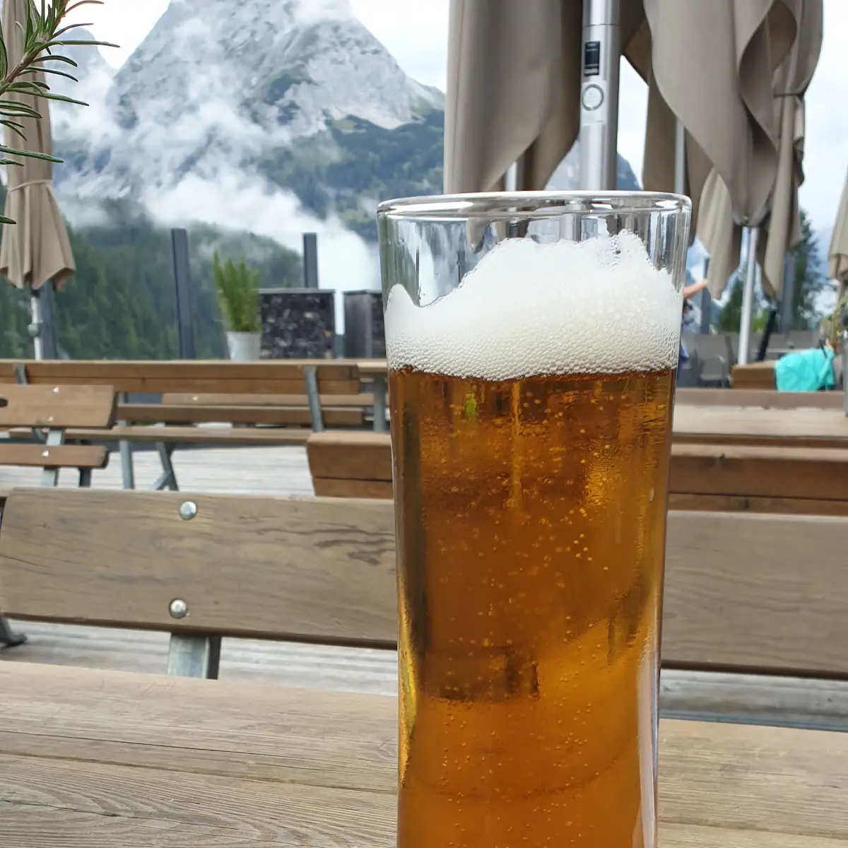 Bier