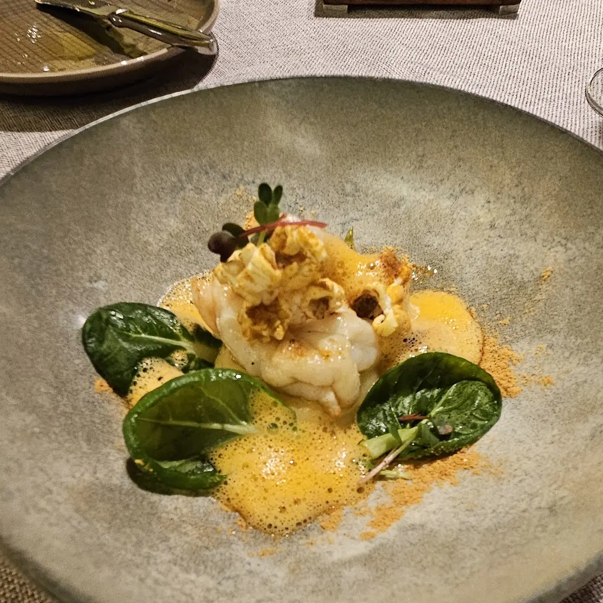 Essence of Morels with Turbot and Bread Dumpling