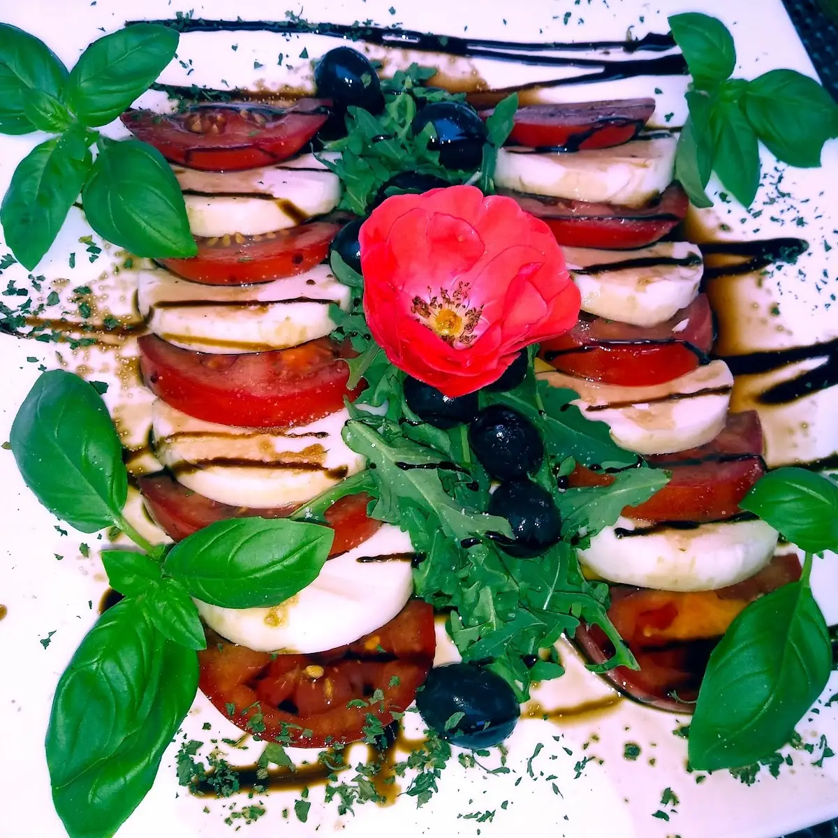 Mozzarella Mit Tomaten