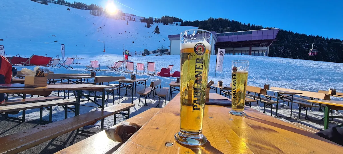 Bier
