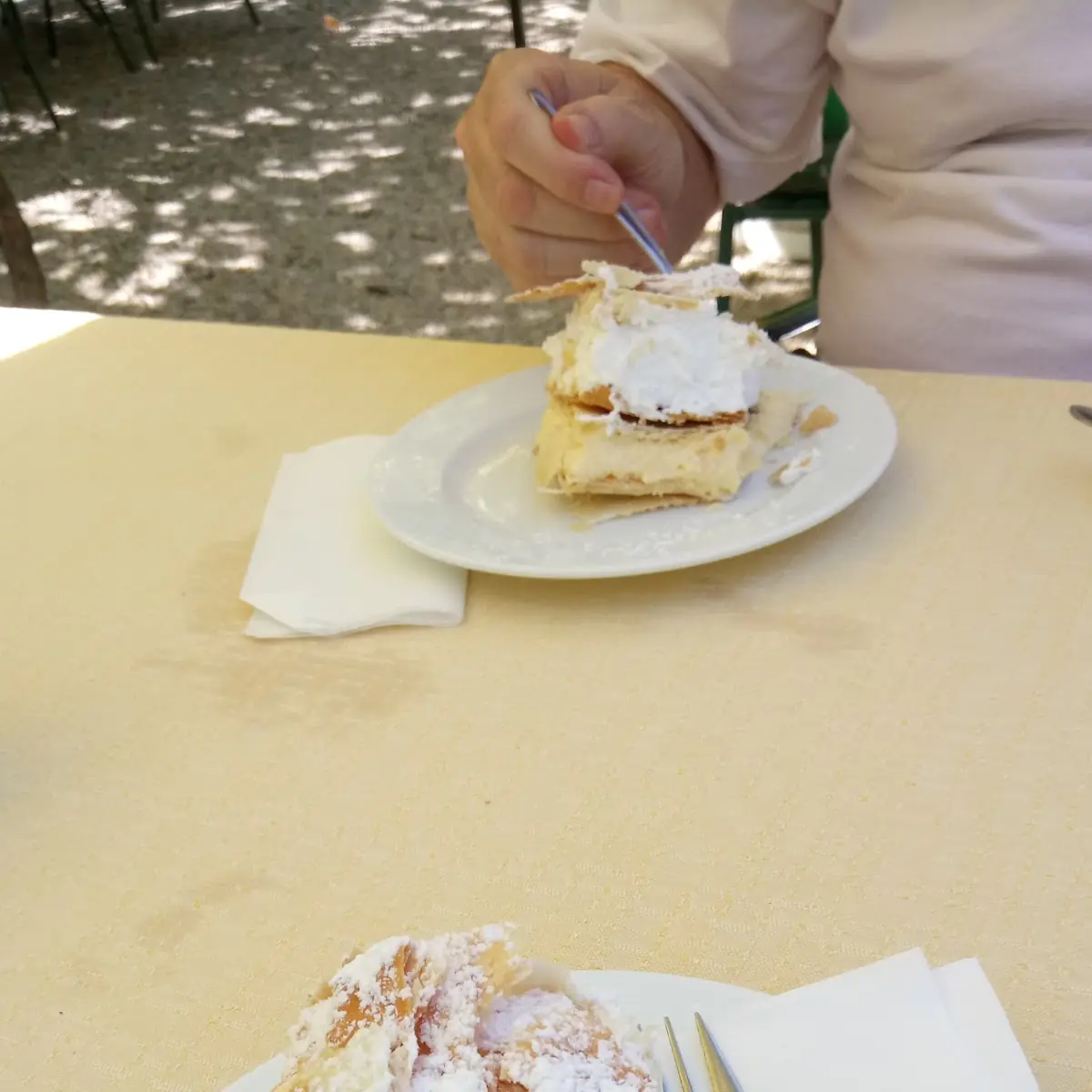 Hausgemachte Cremeschnitte, Gasthaus Binder Orth an der Donau