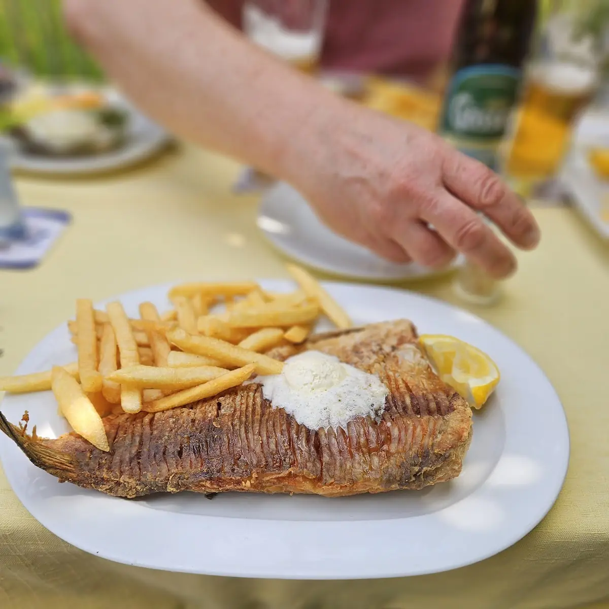 Karpfen Serbisch Mit Pommes Frites, Gasthaus Binder Orth an der Donau