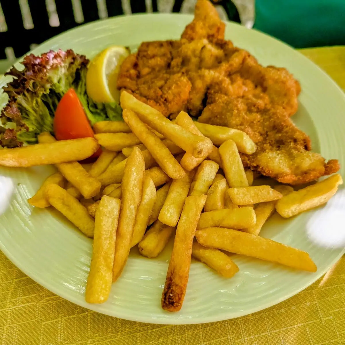 Schnitzel, Gasthaus Binder Orth an der Donau