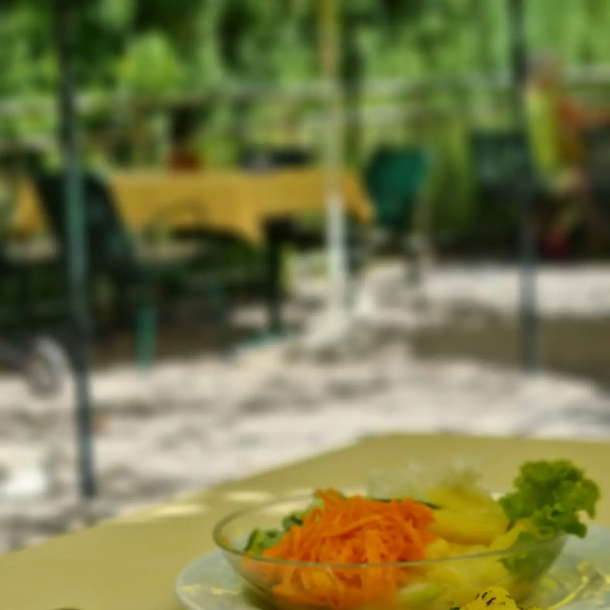 Welsfilet Gegrillt, Gasthaus Binder Orth an der Donau