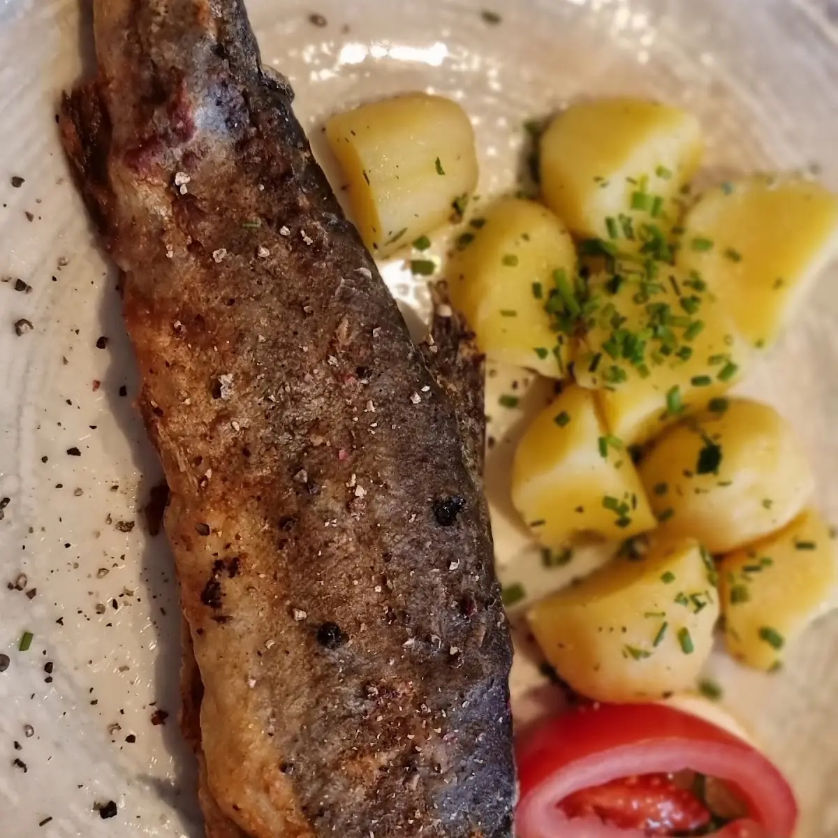 Kärntner Forelle