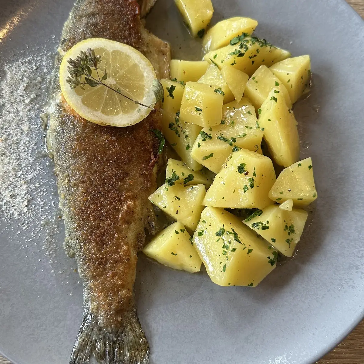Forelle Mit Salzkartoffeln