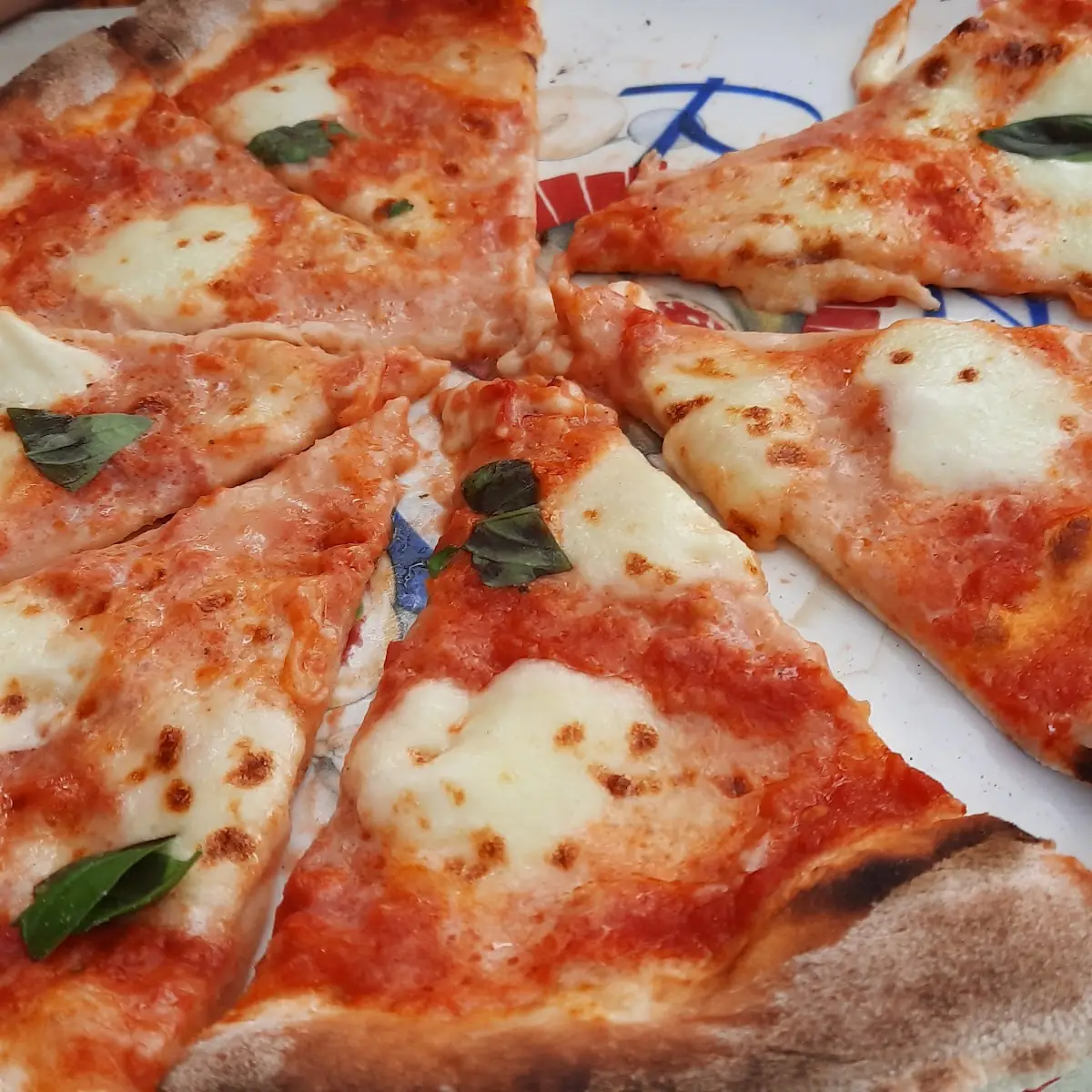 Pizza Margherita