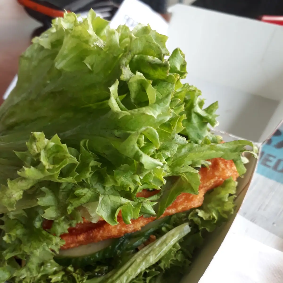Burger Zonder Brood