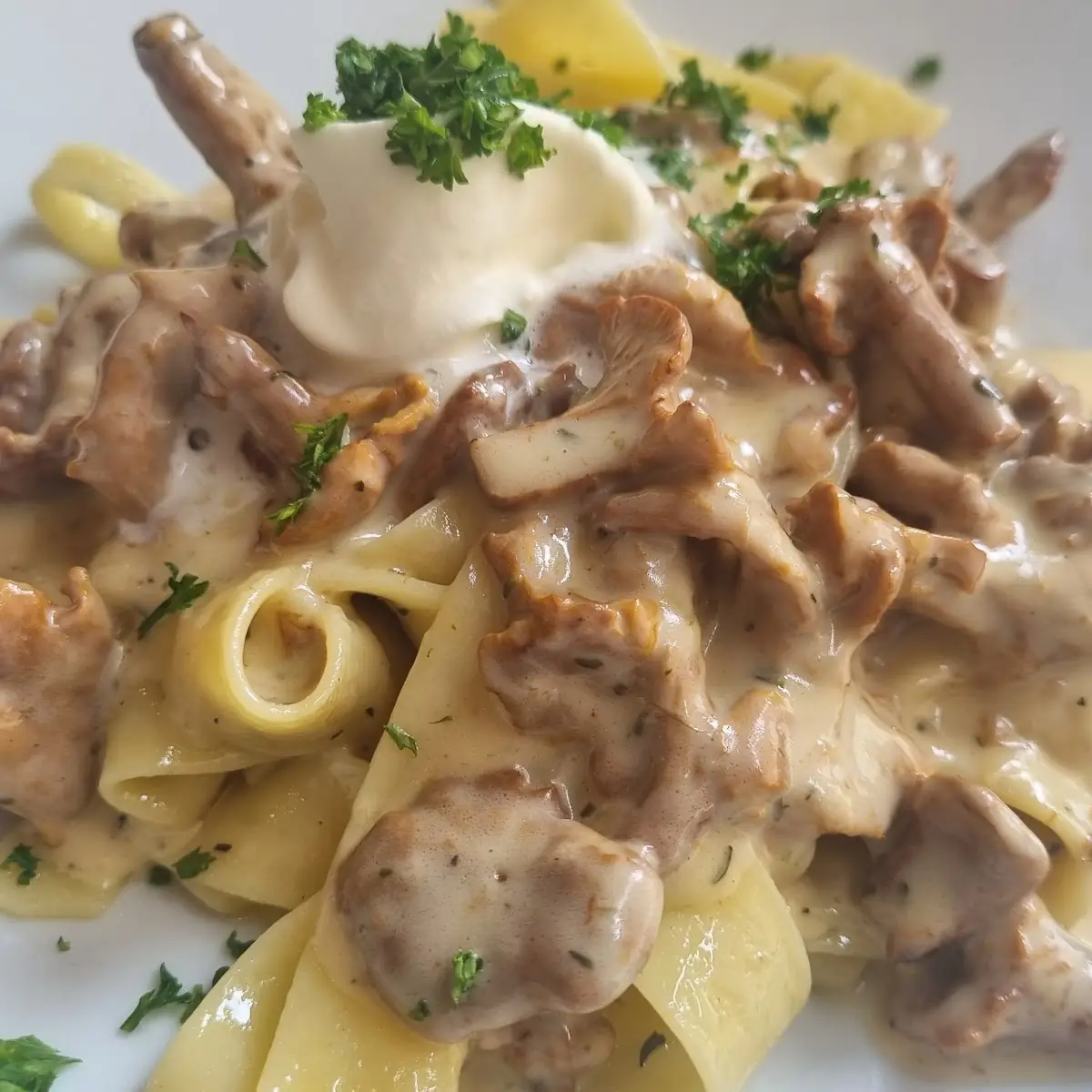 Tagliatelle Mit Pfifferlingen