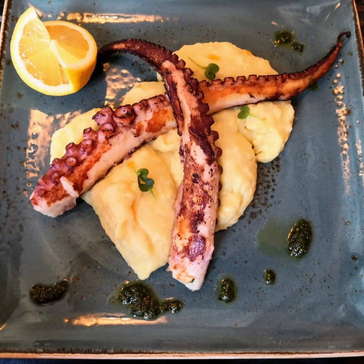 Octopus Vom Grill