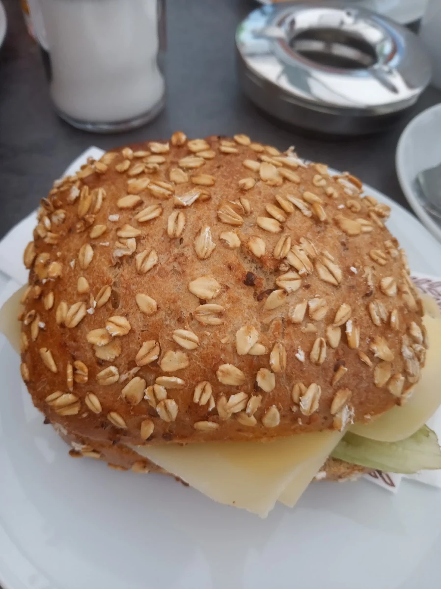 Cheese Sandwich