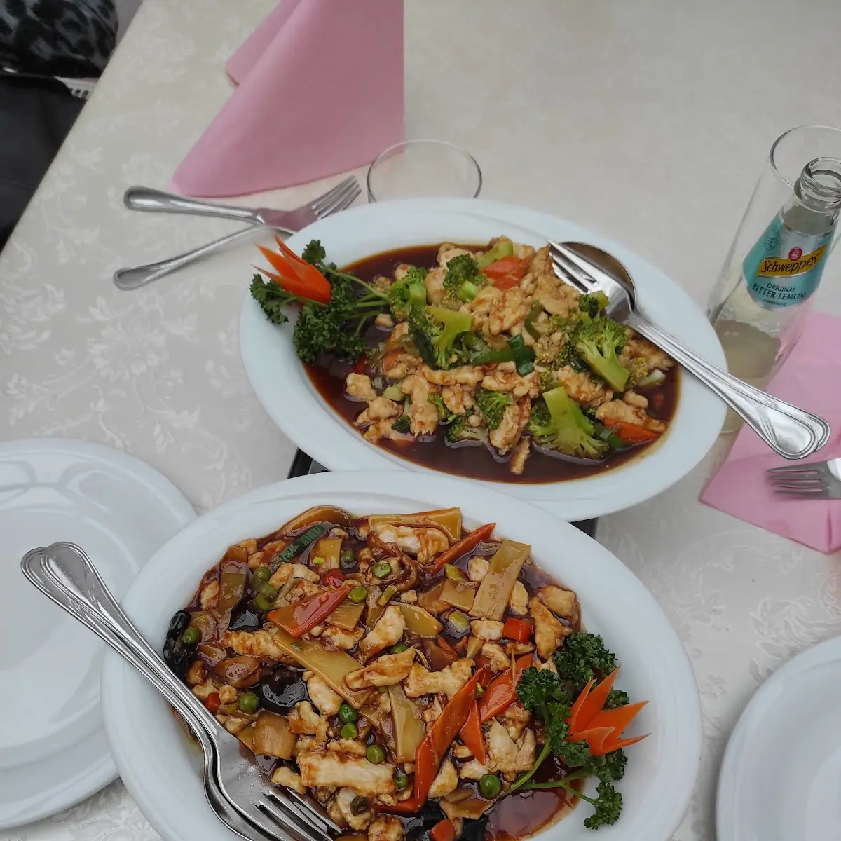 Fastenspeise Der Buddhisten & Mala Hühnerfleisch