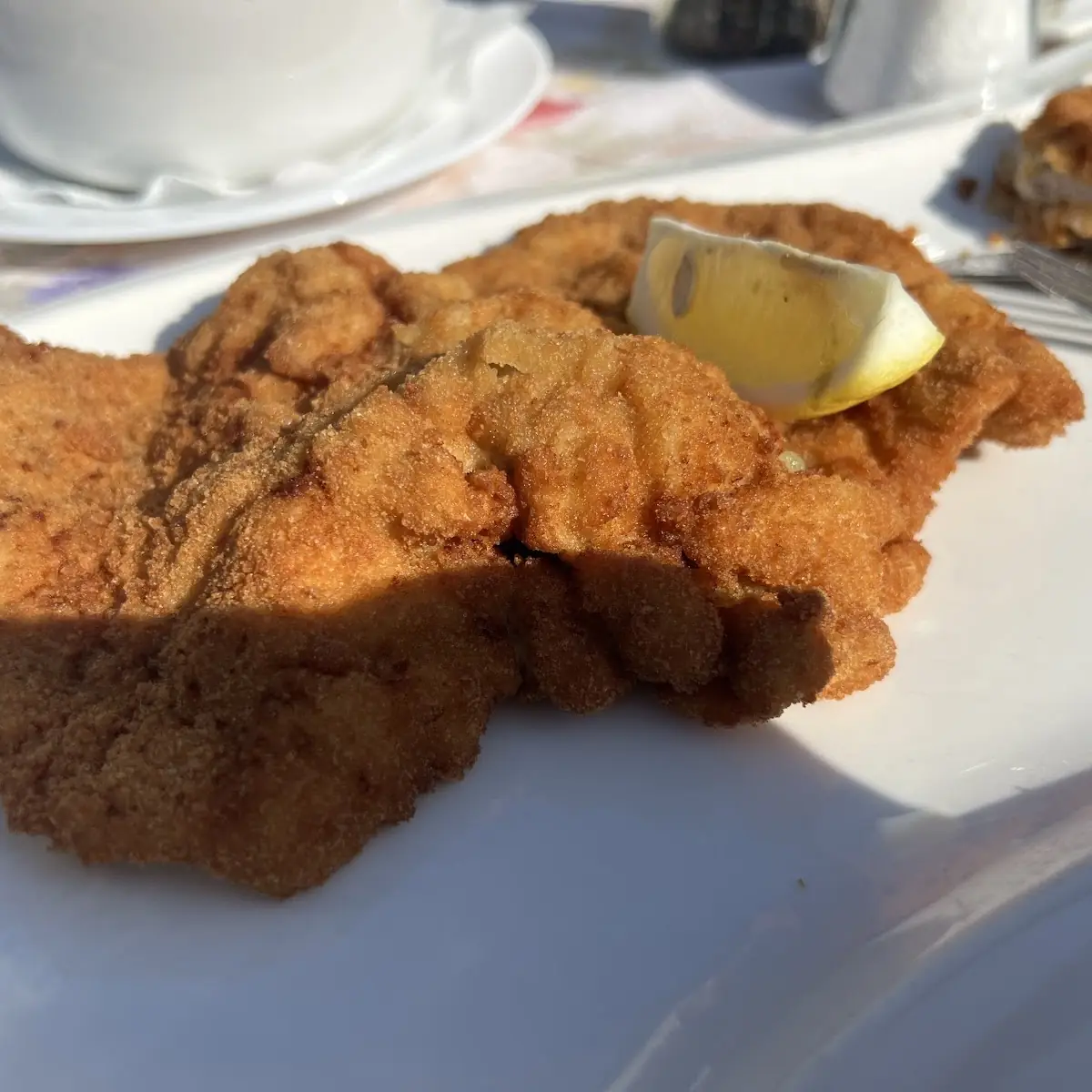 Schnitzel Vom Kalb