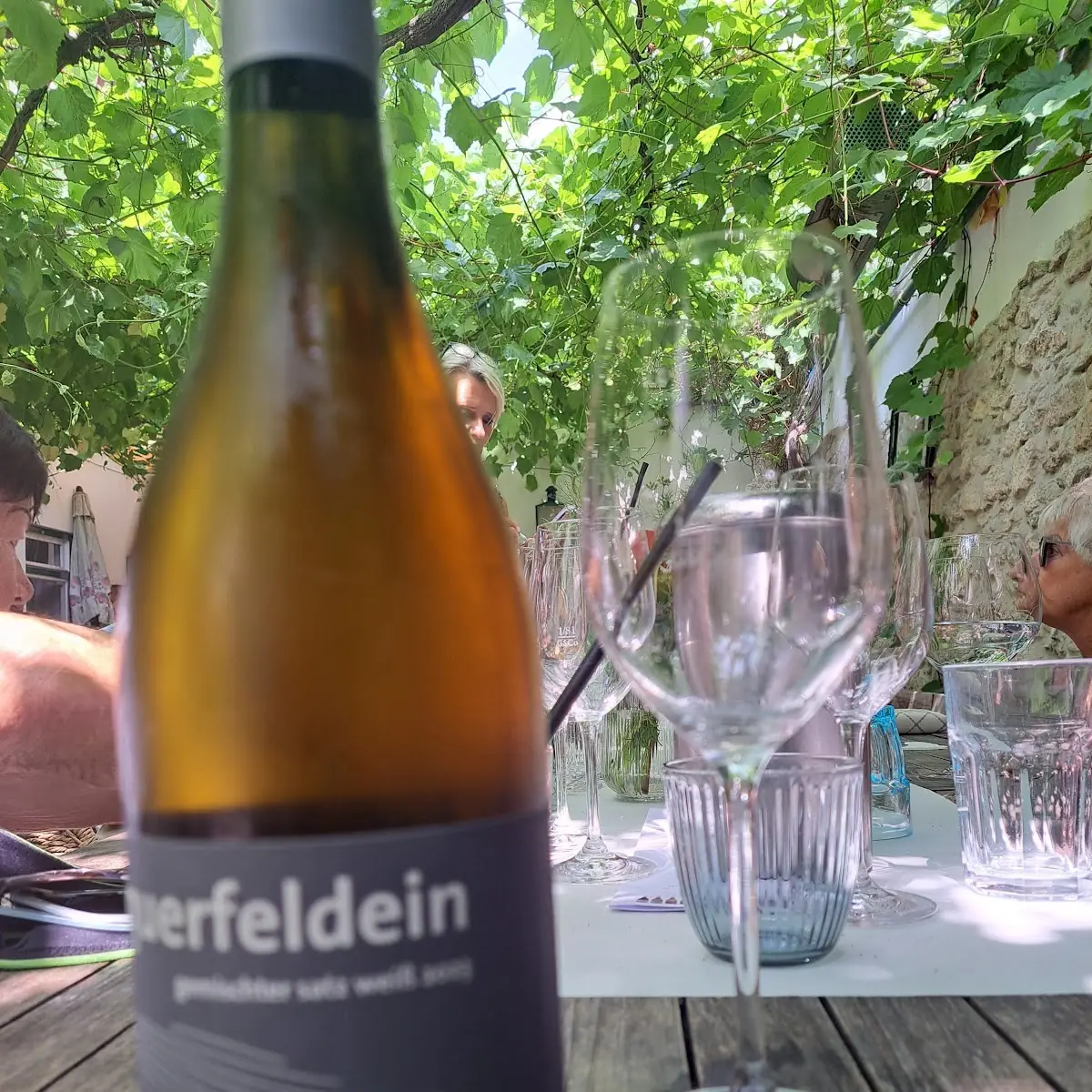 Querfeldein Wein
