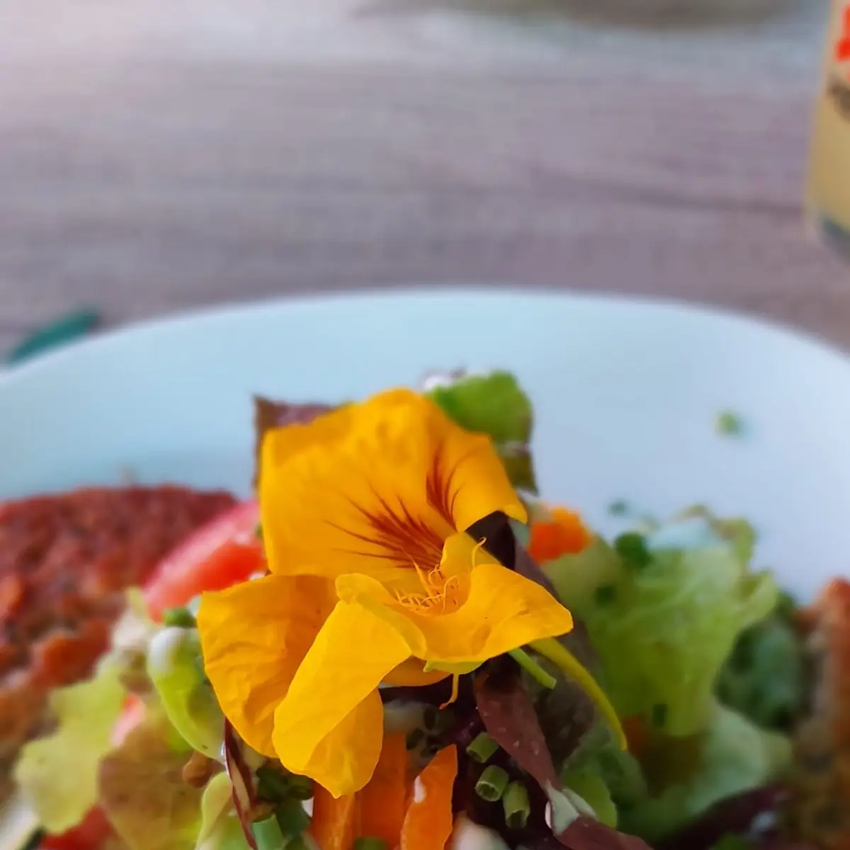 Auf Blattsalat