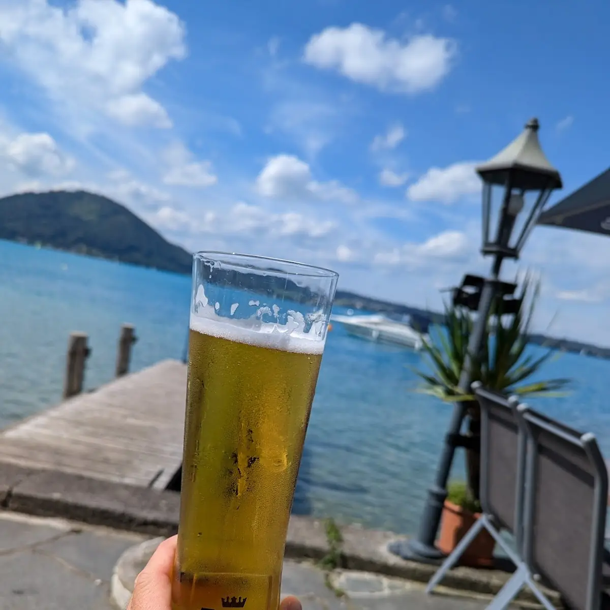Bier