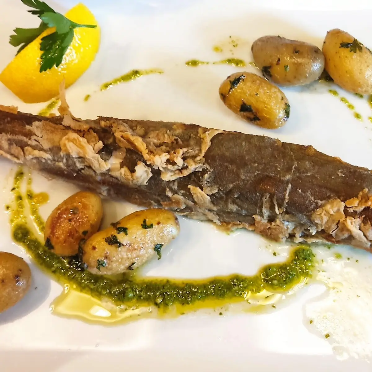 Fish Grill- Grilovaný Čerstvý Siven S Brambory A Zeleninovým Salátem Lahodný A Skvělý