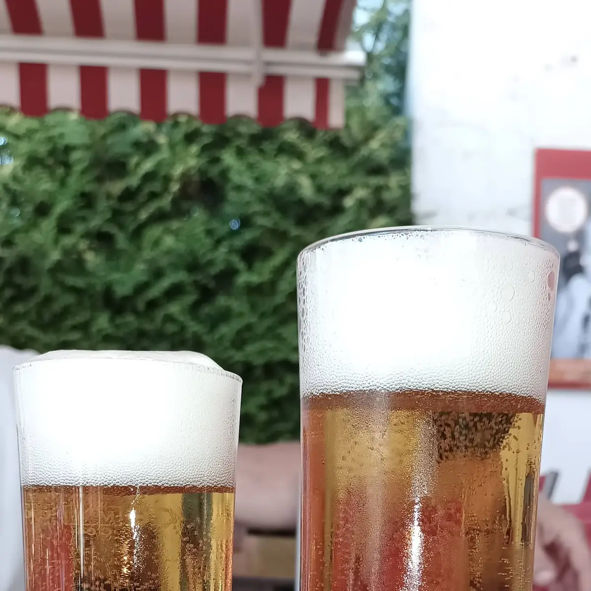 Bier