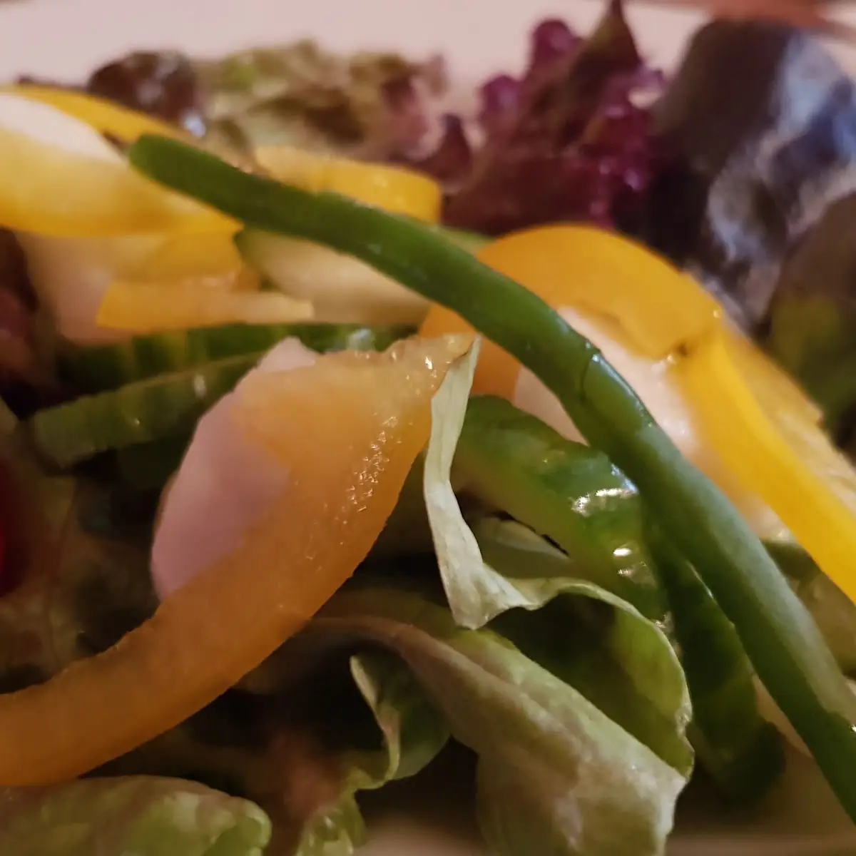 Vorspeisensalat